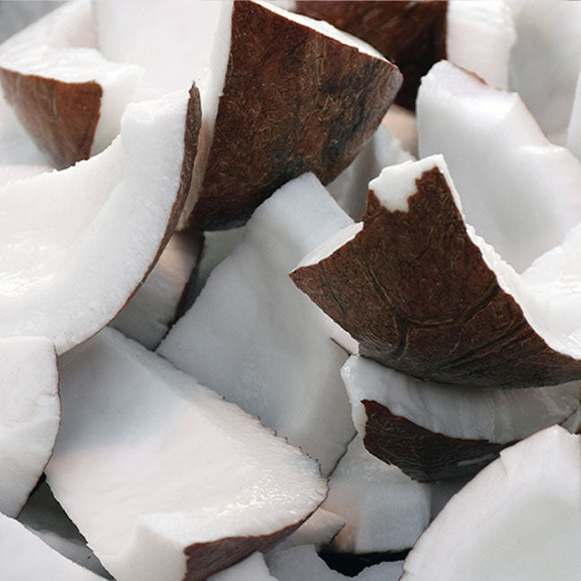 NEST New York coconut note