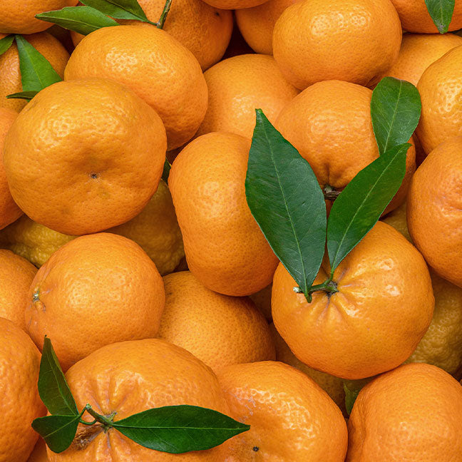 NEST New York mandarin orange note