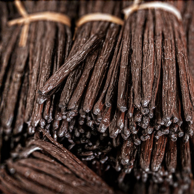 NEST New York vanilla bean note