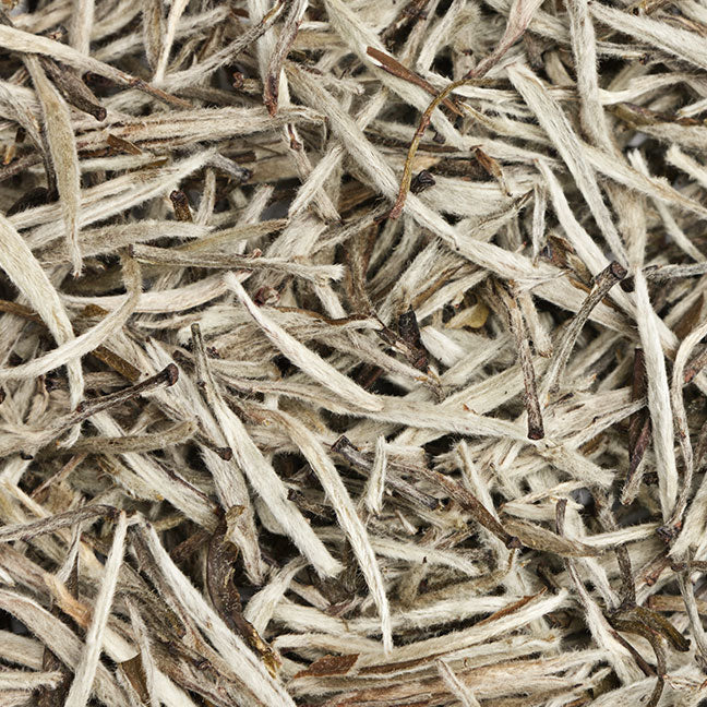 NEST New York white tea note